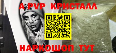 прущие грибы Будённовск
