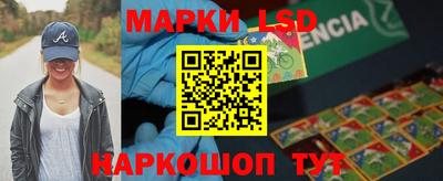 прущие грибы Будённовск