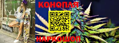 прущие грибы Будённовск