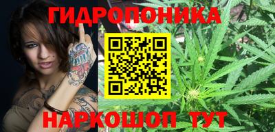 прущие грибы Будённовск