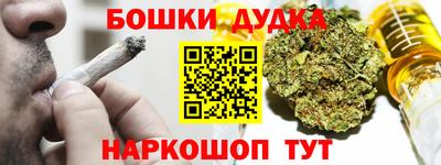 прущие грибы Будённовск