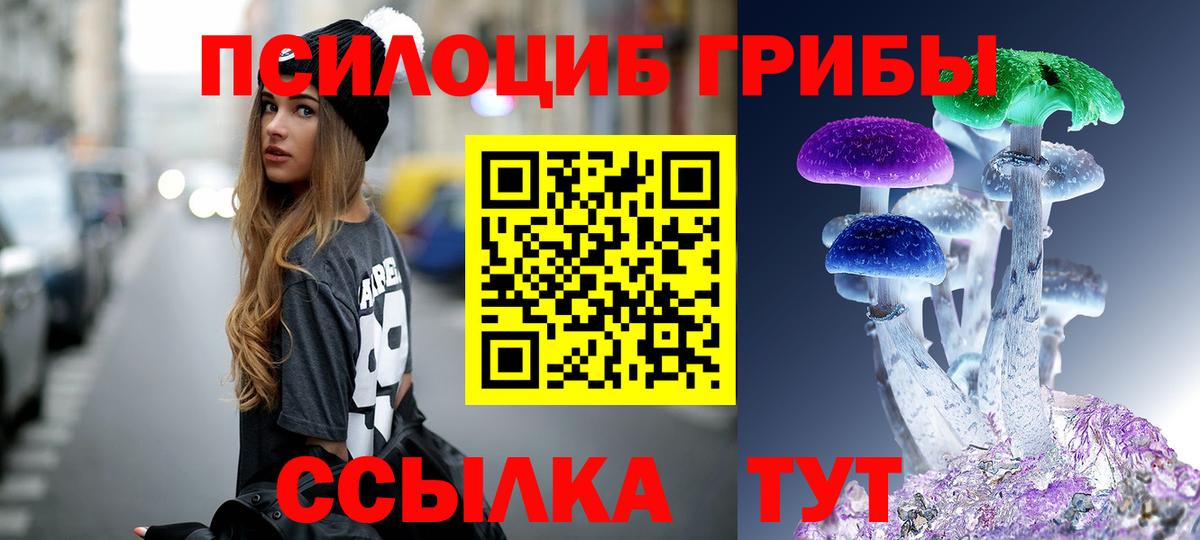 Псилоцибиновые грибы Psilocybe  Галлюциногенные грибы ЛСД  Кыштым  Вход с VPN 