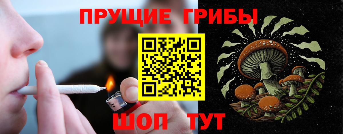 Псилоцибиновые грибы GOLDEN TEACHER Кыштым